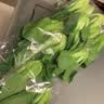 上海青约500g(油菜) 实拍图