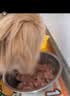 领先生骨肉狗主食罐狗罐头成幼犬全价狗粮湿粮375g*24(新老款随机发） 实拍图