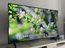 幕后英雄加厚电视挂架26-65英寸通用电视支架适用海信创维索尼乐视康佳等电视架（电视附件） 实拍图