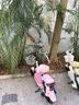 飞鸽电动自行车 E75Plus2026款新国标电动车长续航80KM铅酸电池48V21Ah智能家用电瓶车可上牌樱花粉 实拍图