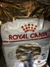 皇家猫粮 英短成猫粮 BS34 通用粮 12月以上 10KG 实拍图