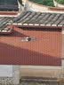 云疆K7智能绕行避障无人机航拍8K高清专业成人16公里续航GPS智能返航触屏遥控飞机航模玩具数字图传 5.5英寸触摸屏+8公里数字图传+智能绕行避障 三电版105分钟续航+随心换 实拍图