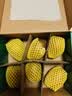 佳沛（zespri）新西兰阳光金奇异果6粒装88-103g猕猴桃水果中秋节礼品送水果礼盒 实拍图