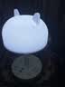 苏士赫尔摩创意桌面三色温喂奶灯/睡前阅读灯/氛围灯/LED调光夜灯带电池 USB充电插座 3位2U1.8 米 实拍图