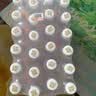 依能白桃味苏打水饮料 500ml*15瓶 无糖无汽弱碱0脂0卡聚会饮品整箱装 实拍图