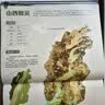 【央视网出品】时光学暑假阅读推荐中国地理百科全书 精装典藏刷边版赠贴纸知识手册全彩中小学生地理知识科普大全儿童地理启蒙青少年自然科普国家地理书籍读物六一儿童节礼物 实拍图