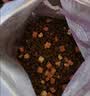 麦富迪猫粮 超肉粒冻干双拼成猫粮美毛护肠胃 三文鱼2kg 实拍图