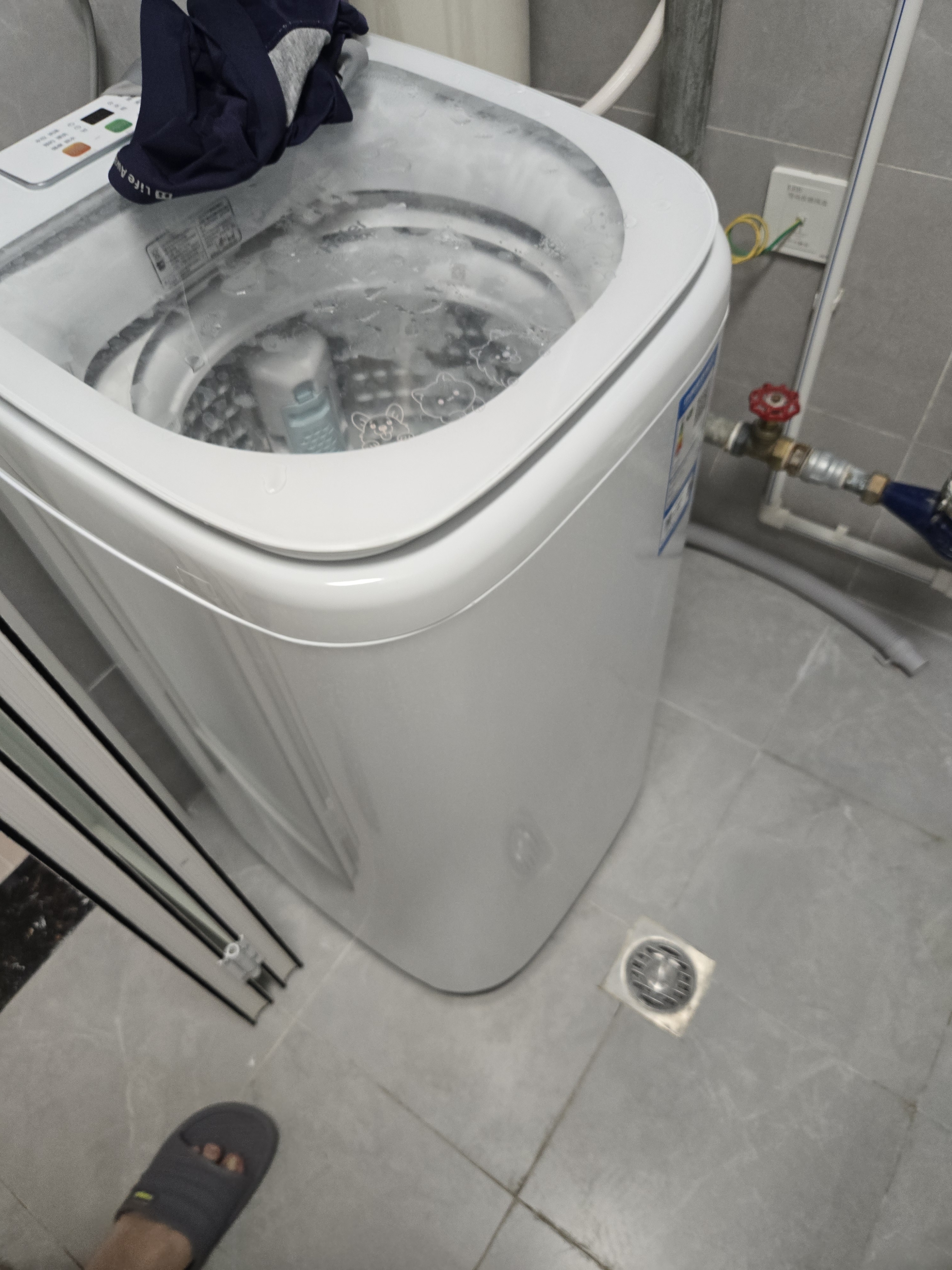 海尔（Haier）5公斤洗衣机波轮直驱变频全自动一级能效迷你洗衣机小型家用婴儿儿童洗衣机电离除菌羊毛洗神童 新品5kg丨直驱变频丨专研滤毛洗丨小神童B288 实拍图