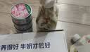 网易严选猫湿粮宠物零食浓汤大口肉罐头 鸡肉+三文鱼85g*6罐 实拍图