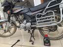 摩特（MOTUL）3100 GOLD 摩托车机油10W-40 雅马哈铃木本田豪爵 四冲程SM级 1L 实拍图