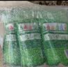 蓝月亮洗手液补充装袋装500g*6 泡沫丰富芦荟抑菌护手保湿替换装 实拍图