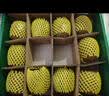 佳沛（zespri）新西兰绿奇异果优选大果12粒115-135g猕猴桃中秋节礼品送水果礼盒 实拍图