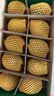 佳沛（zespri）绿奇异果10个装 宝宝果单果约80-89g猕猴桃中秋节礼品送水果礼盒 实拍图