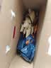 卡仕伽长野坚果芙528g礼盒椰片+腰果+巴旦木 送礼礼盒饼干休闲零食 实拍图