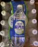 延中咸青桔风味盐汽水600ml*20瓶/箱 补水补盐碳酸饮料盐汽水 实拍图