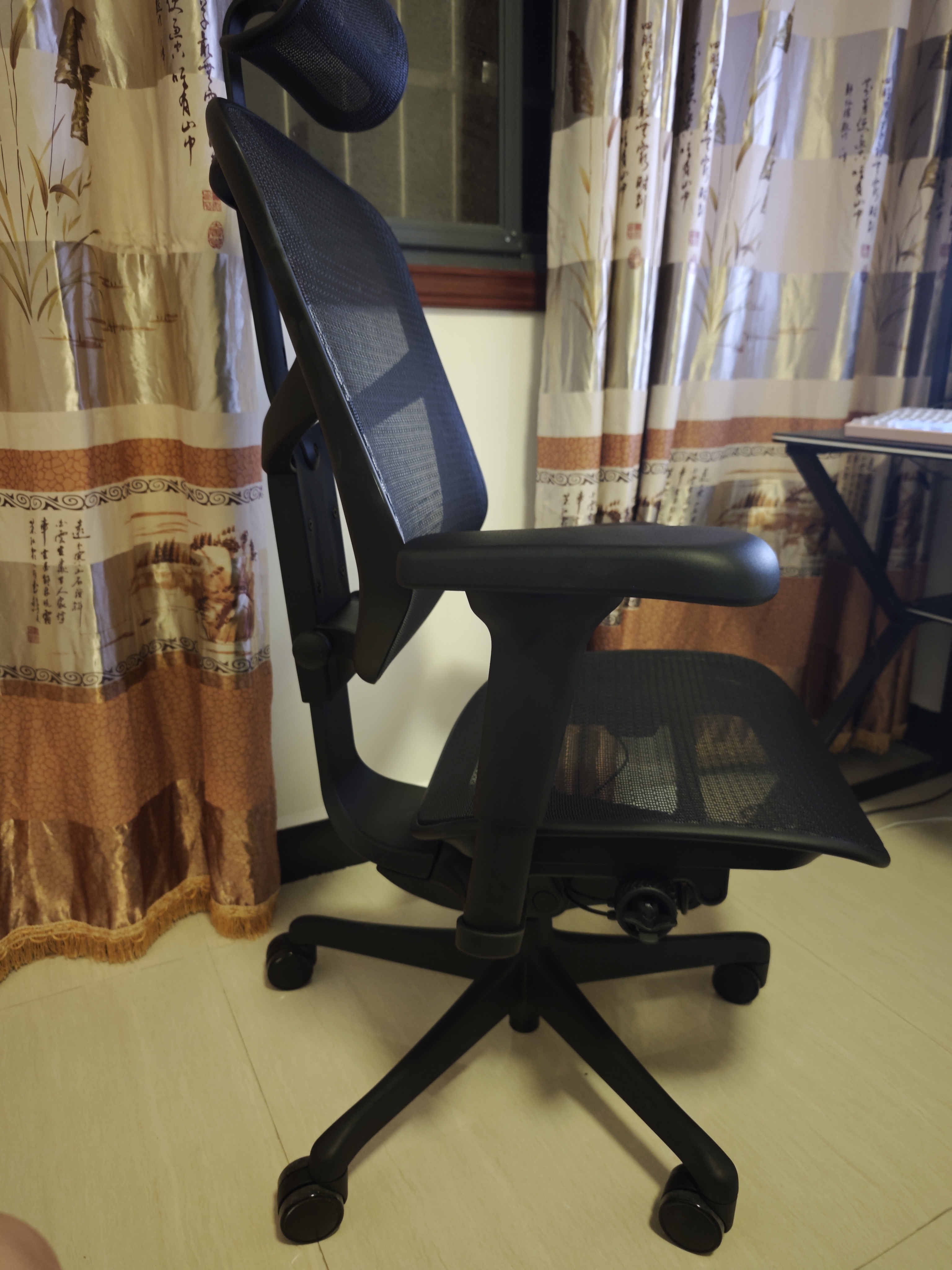 Ergonor保友金卓雄鹰 人体工学椅 高性价比电脑椅家用办公椅游戏电竞椅 【金卓雄鹰X】黑色网(尼龙椅脚) 久坐不易累 实拍图