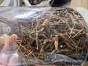 凤牌红茶 特级金针云南凤庆滇红60g罐装 中华老字号 茶叶 实拍图