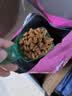 弗兰士 猫粮 2.5kg5斤 成猫 幼猫 全阶段美味营养全价猫粮 实拍图