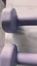 Keep哑铃女士健身家用彩色浸塑环保手铃亚铃全身塑形紫灰色3kg*2 实拍图