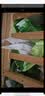 家得宝（homebaby）【未检出甲酰胺】蚕丝蛋白拉拉裤 加量装2XL码44片尿不湿夏季超薄 实拍图