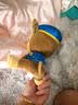 汪汪队立大功（PAW PATROL）毛绒玩具狗狗陪睡玩偶经典款阿奇小号坐姿男女孩儿童生日礼物 实拍图