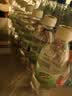 健龙五大连池气泡水 含气水350ml*24瓶整箱 实拍图