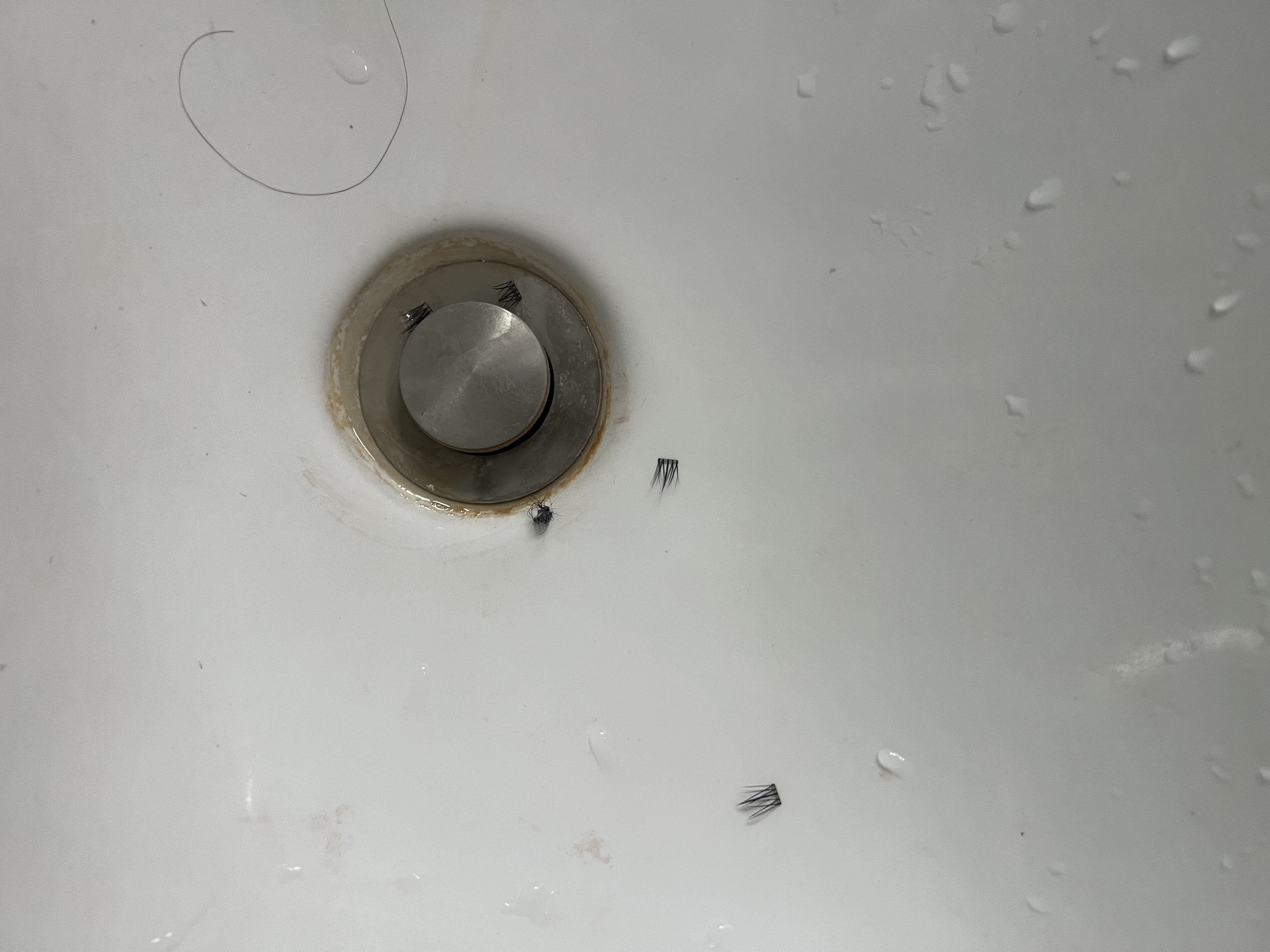 心愿先生免胶假睫毛开花懒人太阳花肿眼泡新手超自然灵动眼睫毛送礼自营 实拍图