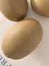 佳沛（zespri）新西兰金奇异果18粒超大原箱175-204g猕猴桃中秋节礼品送水果礼盒 实拍图