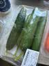 【水果菜】荷兰水果黄瓜约400g 实拍图