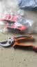 一号工厂德国精工三件套修剪树枝剪刀专用工具剪花枝剪刀园林园艺果树修枝 实拍图