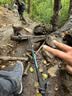 Black Diamond黑钻BD户外登山杖拐杖伸缩徒步杖手杖专业铝合金手杖男女款112552 【单根】112552S-溪蓝 实拍图