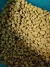 皇家猫粮 绝育成猫粮 SA37通用粮 1-7岁10KG 实拍图