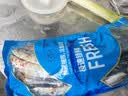 潮夫道秋刀鱼净重2斤野生海捕高蛋白冷冻生鲜烧烤食材深海鱼类纯鱼肉 实拍图