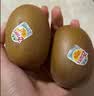 佳沛（zespri）新西兰金奇异果18粒优选果103-124g猕猴桃中秋节礼品送水果礼盒 实拍图