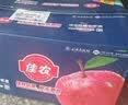 佳农烟台红富士苹果 净重10斤 特大果 单果220g+ 生鲜水果 源头直发 实拍图
