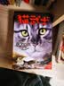 猫武士首部曲（全6册）预言开始 儿童文学动物小说自主阅读生存勇气成长励志 奇幻冒险小说 中小学生青少年提升写作作文能力 课外书王芳推荐暑假作业 一升二暑假衔接 小升初暑假衔接  暑期阅读 课外推荐 实拍图