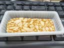 京东京造益生元巴旦木薄脆180g坚果饼干脆片健康儿童零食坚果0添加自营 实拍图