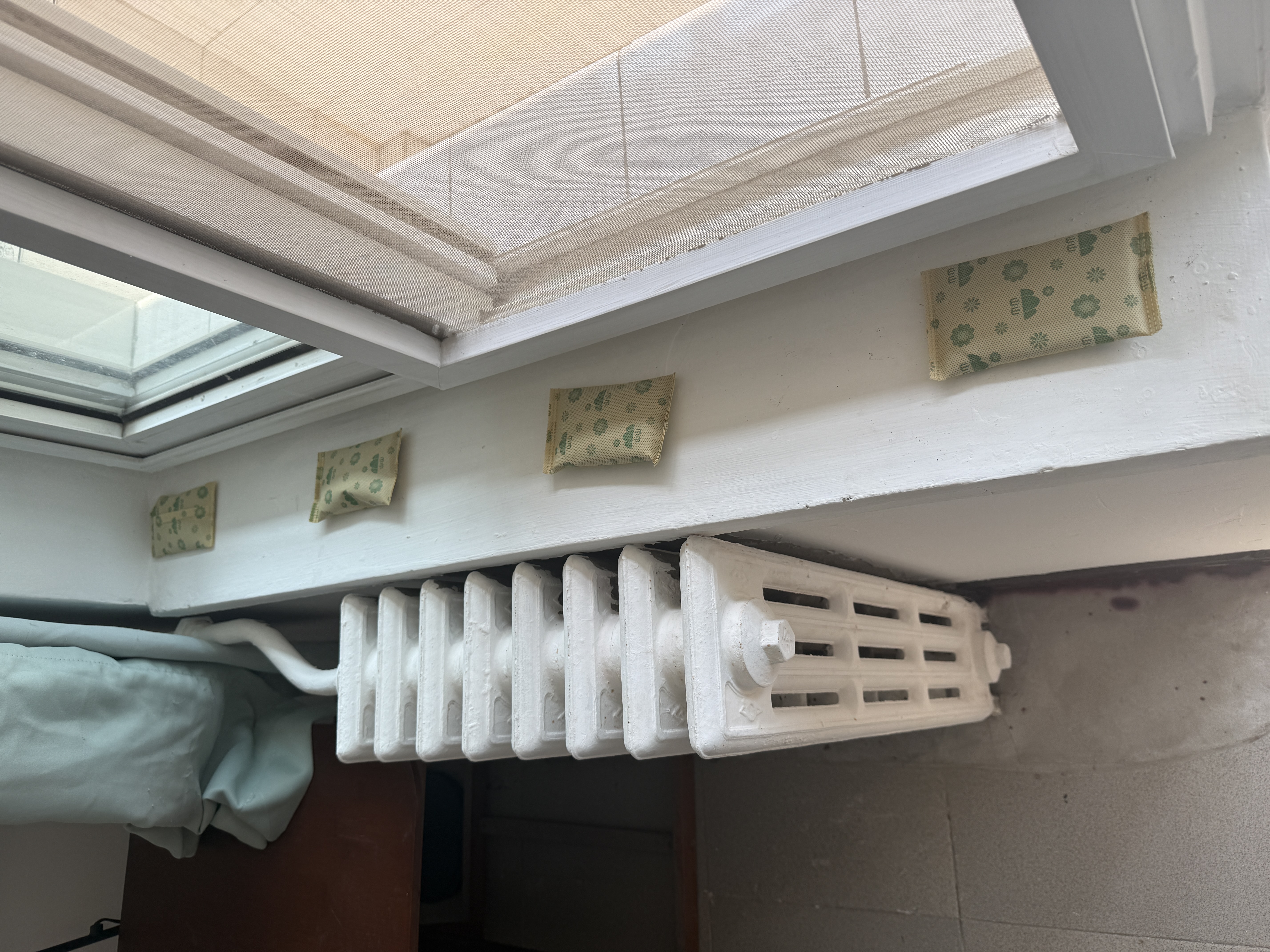 山山急入住增强型活性炭新房汽车除醛去味母婴安全除醛炭包急入住4KG 实拍图