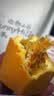 麦酥园 凤梨酥铁盒装福建厦门特产台湾风味休闲零食糕点心独立包装450g 实拍图