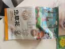 黑土优选 蛹虫草 虫草花200g （精选滋补煲汤材料 火锅炖汤食材） 实拍图