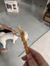 宠物零食狗狗零食耐咬洁齿鸡鸭肉绕饼干磨牙棒大中幼型犬泰迪 鸡肉绕牛皮磨牙棒 1000g/真牛皮磨牙棒 实拍图