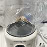 九阳（Joyoung）养生壶家用全玻璃煮茶器轻音炖煮办公室0金属0胶水冲奶800W大功率烧水壶恒温壶WY-PR2105（1L） 实拍图