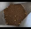 朗亲狗粮冻干双拼金毛哈士奇萨摩柴犬中大型成年期专用狗粮15kg 实拍图