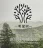希望树二代小绿罐除甲醛果冻除醛魔盒3罐装 foh新房甲醛清除剂真除醛 实拍图