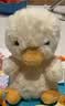Jellycat甜美小鸭可爱公仔动物毛绒玩偶小玩偶陪伴娃娃送礼生日礼物 甜美小鸭 One Size 实拍图