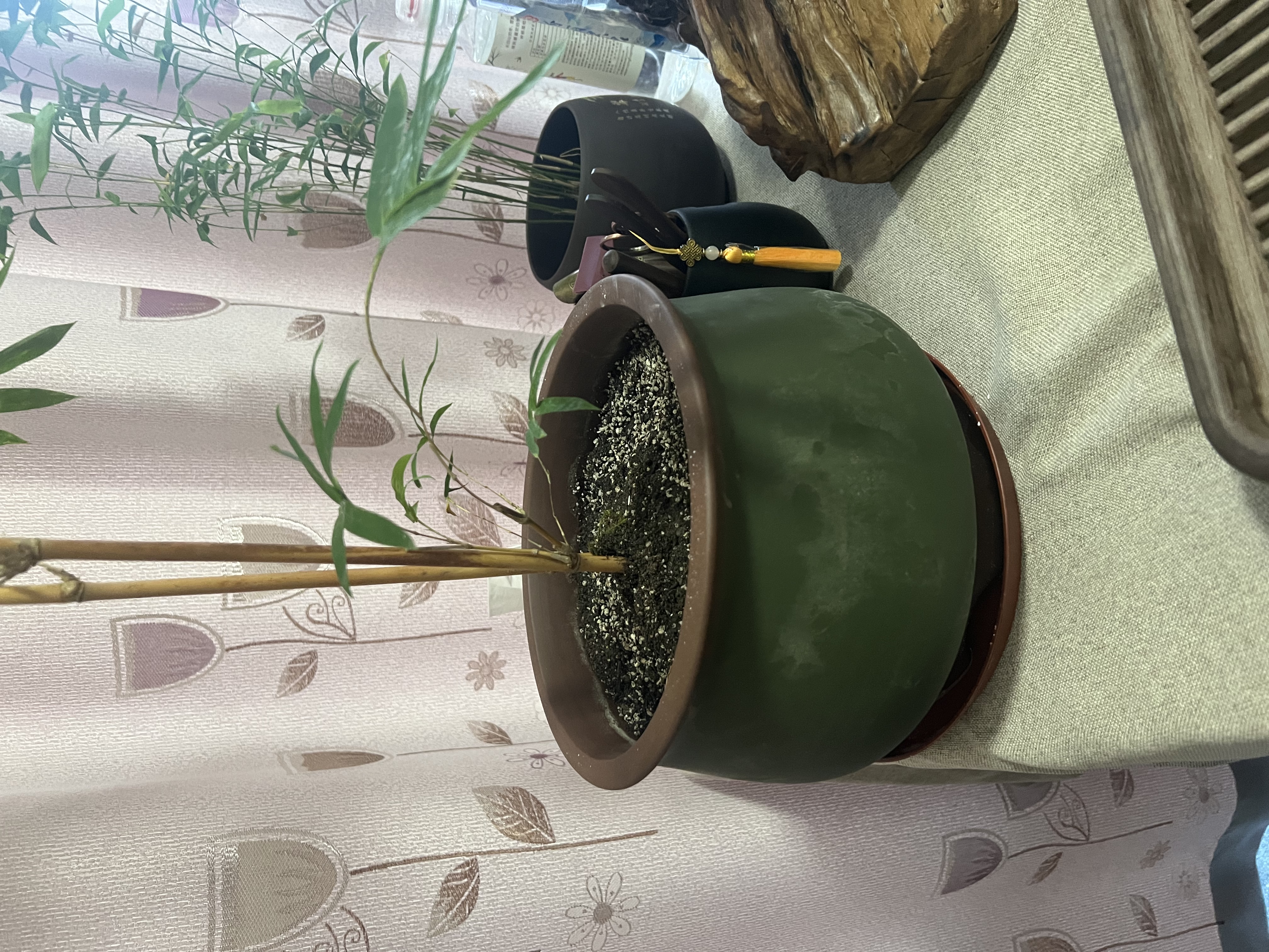 爵遇良品花盆家用大号透气紫砂大花盆特大号种树盆发财树特大号花盆陶瓷 聚宝盆 翠绿色 特大号 图示 实拍图