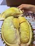 京鲜生 进口金枕头鲜榴莲 巴掌榴莲 净重2-3斤 1个装 新鲜水果 生鲜 实拍图