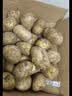 陇百味甘肃定西土豆2026年新挖粉糯面沙高山小洋芋鲜马铃薯定西特产 净重9斤中果【源头直发】 实拍图