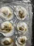 獐子岛 冷冻蒜蓉粉丝扇贝400g 12只 虾夷扇贝 烧烤食材海鲜生鲜预制菜 实拍图