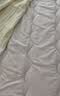 京东京造四季云柔床褥 100%原生羽丝绒 A类床垫褥子榻榻米1.8x2m 清雅灰 实拍图